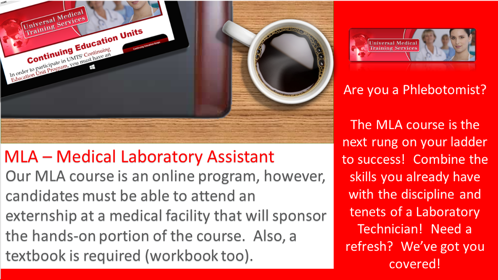 UMTS MLA Course Description