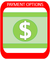Payment Options Portal